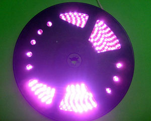 vertical LED strip